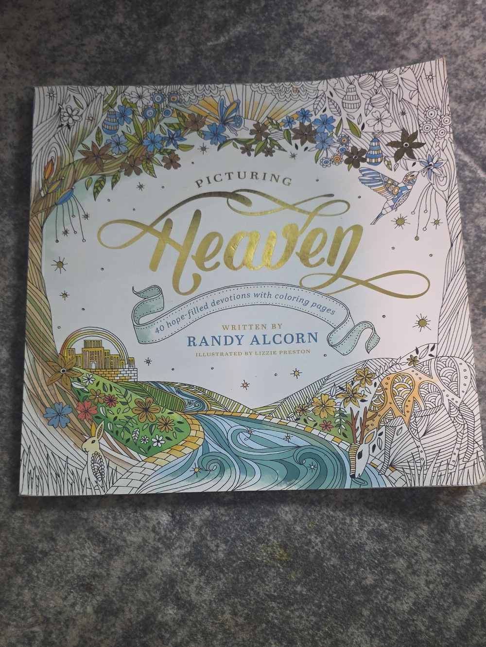 "Picturing Heaven" Coloring Devotional - White & Gold Cover
